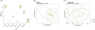 Unveiling the gut microbiota blueprint of schizophrenia: a multilevel omics approach